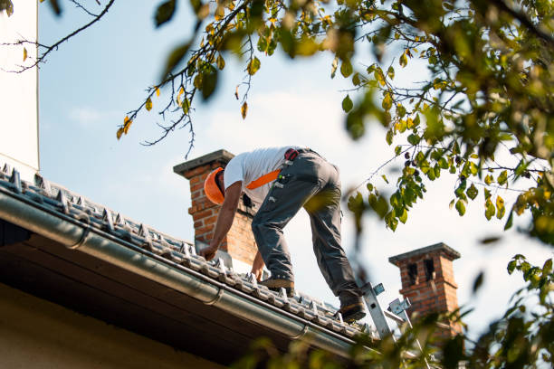 Best Storm Damage Roof Repair  in Martins Ferry, OH