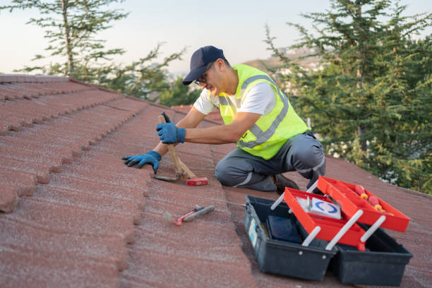 Best Residential Roofing Contractor  in Martins Ferry, OH