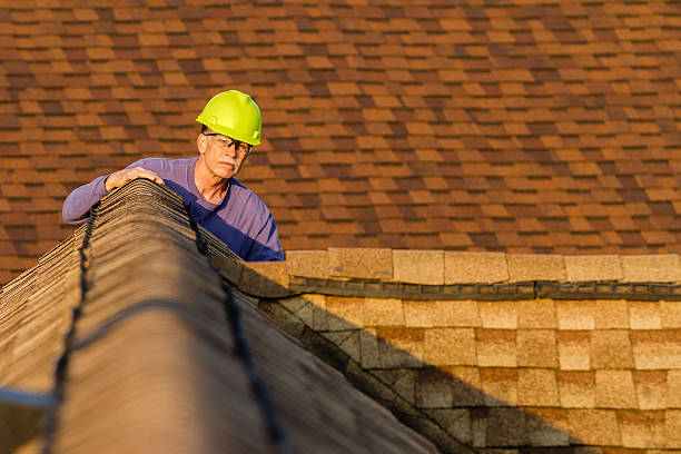 Best Roof Replacement Cost  in Martins Ferry, OH