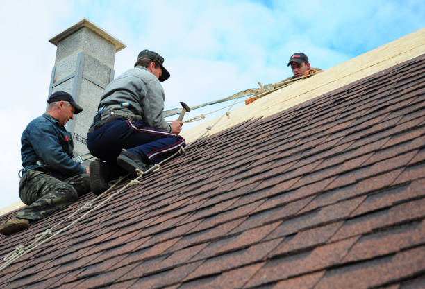 Best Roof Waterproofing Services  in Martins Ferry, OH